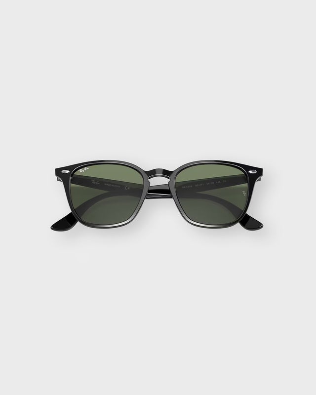 Ray-Ban Solglasögon RB4258 Svart ONESIZE