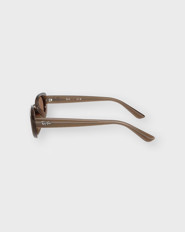 Ray-Ban Solglasögon RB4441D Bio-Based Brun ONESIZE