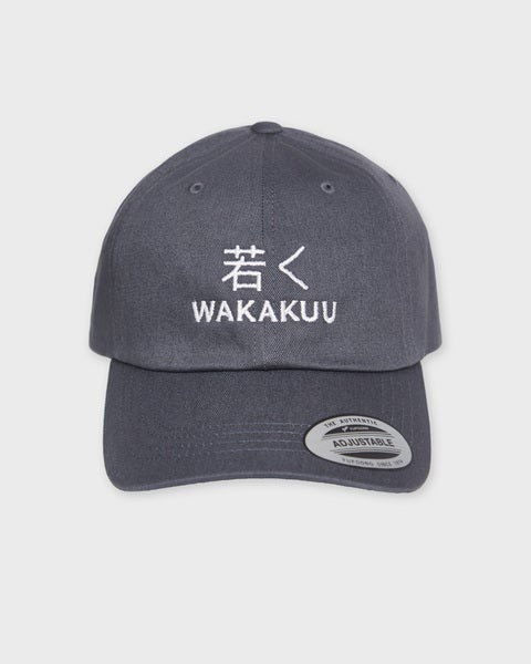 Cap Low Profile Dark grey ONESIZE 1
