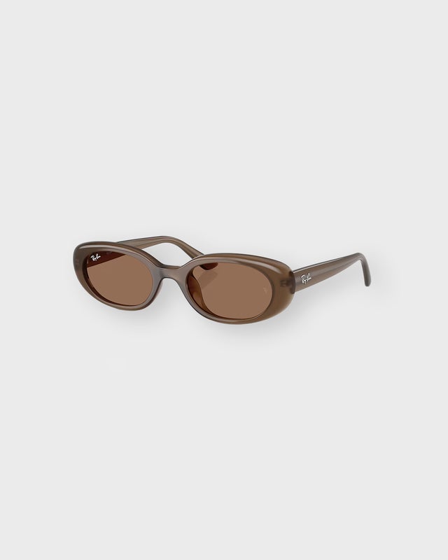 Ray-Ban Solglasögon RB4441D Bio-Based Brun ONESIZE
