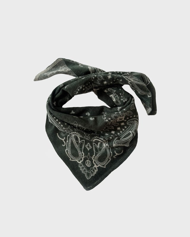 Le Scarf Scarf Cashmere Paisley Green 65x65 ONESIZE