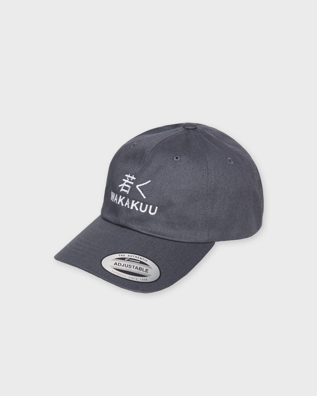 Wakakuu Cap Low Profile Dark grey ONESIZE