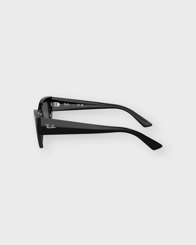 Ray-Ban Solglasögon RB4430 Zena Bio-Based Svart ONESIZE