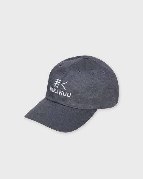 Cap Low Profile Dark grey ONESIZE 2