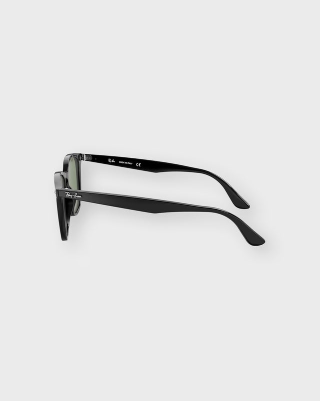 Ray-Ban Solglasögon RB4258 Svart ONESIZE