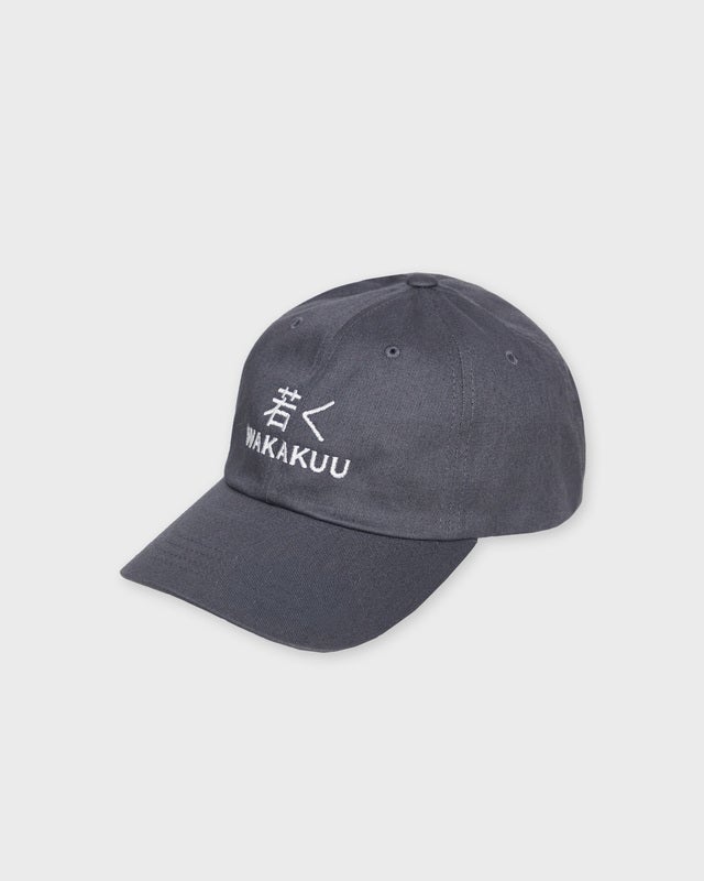 Wakakuu Cap Low Profile Dark grey ONESIZE